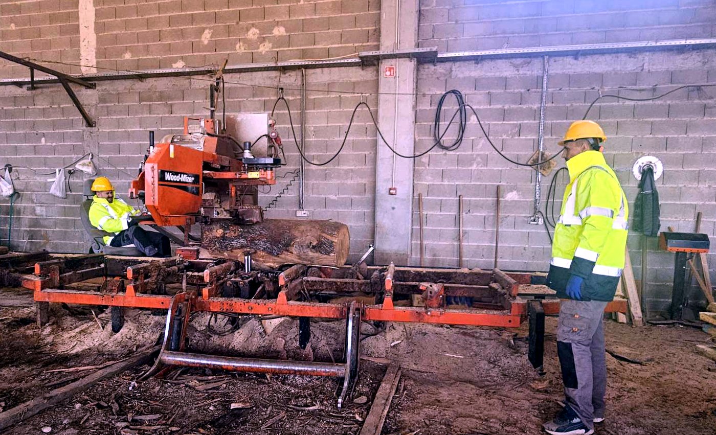 EDERA operators in safety equipment at the sawmill line